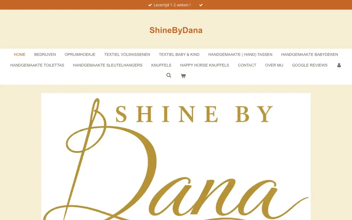 De website van Shine By Dana